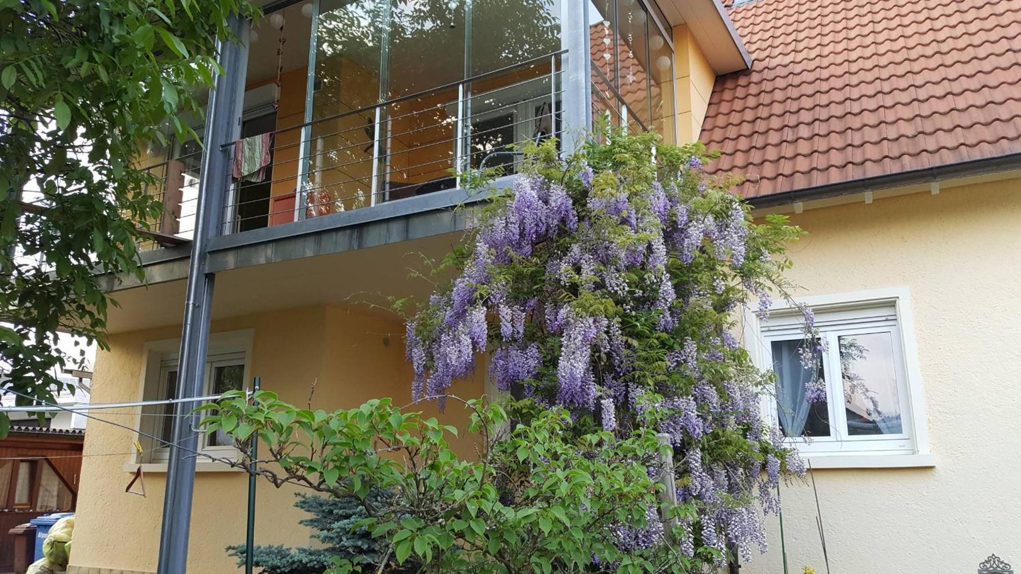 Ferienwohnung Miezerle Steisslingen ภายนอก รูปภาพ